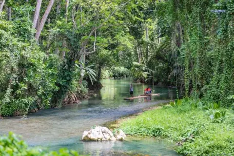 Martha Brae River 5 Min Drive