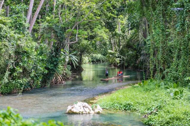 Martha Brae River 5 Min Drive