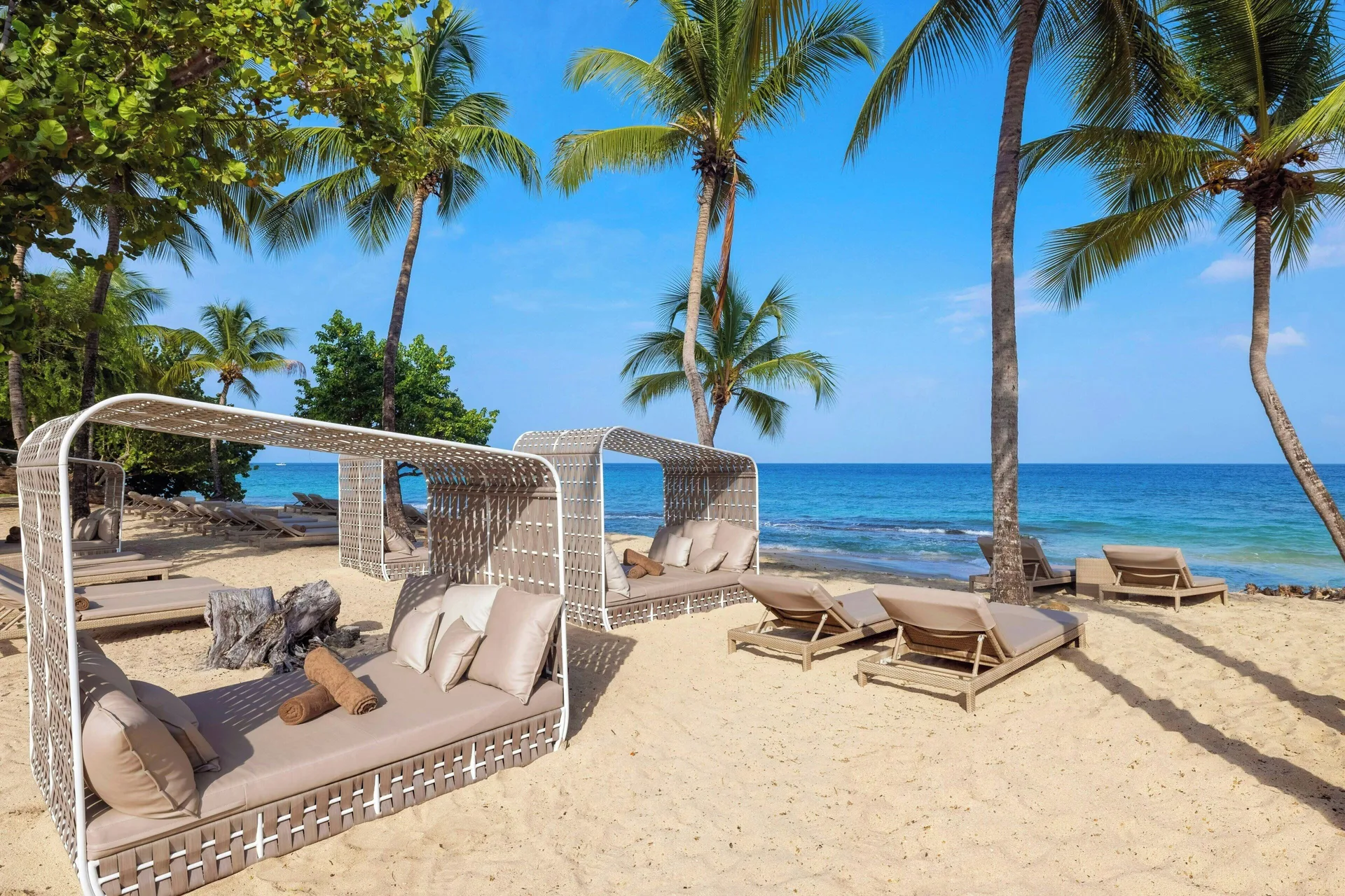 Beach daybeds and loungers beneath palm trees at Royalton Grenada.