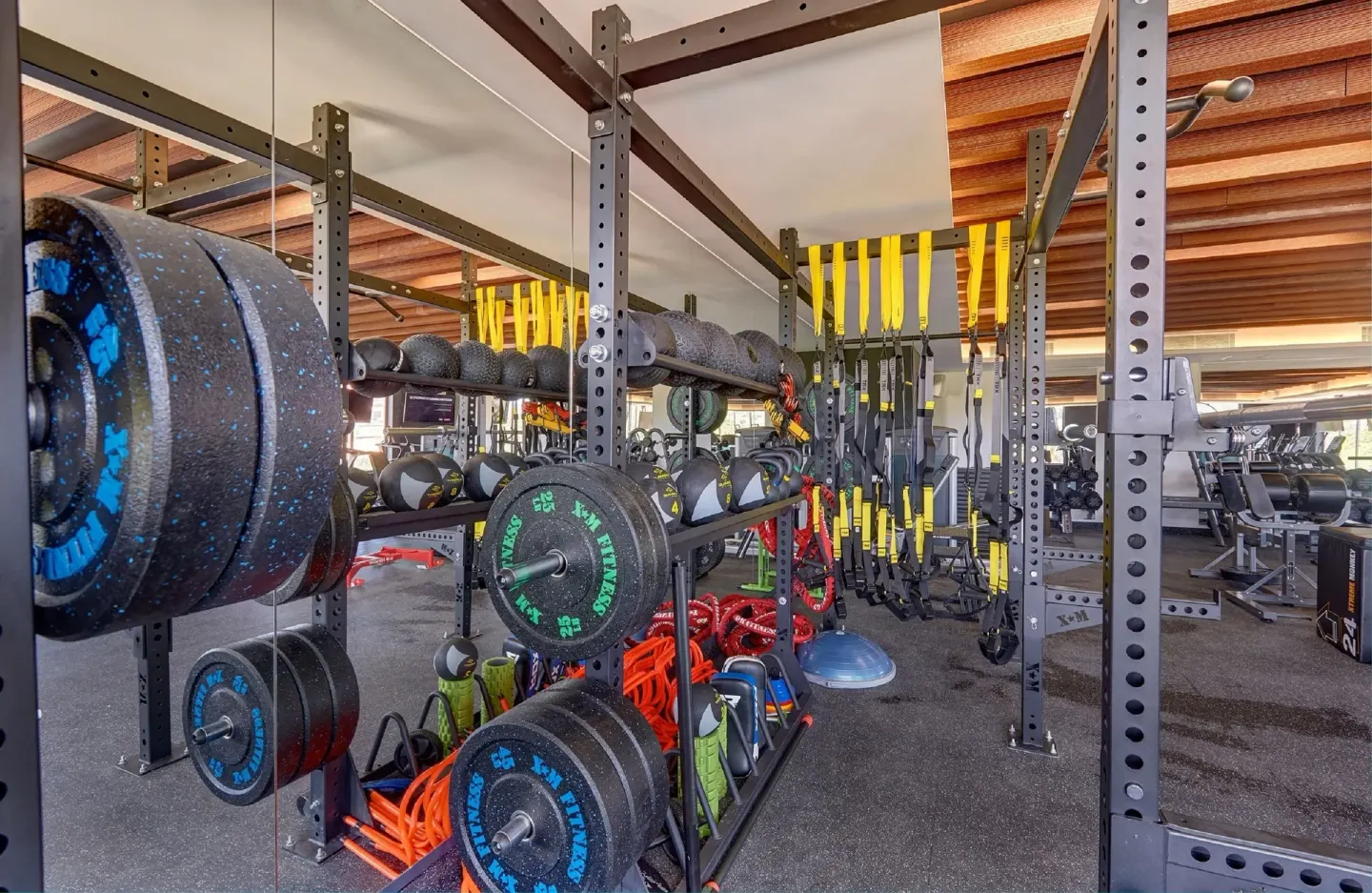 Weight rack, suspension straps, and training equipment in the fitness center at Royalton Grenada.
