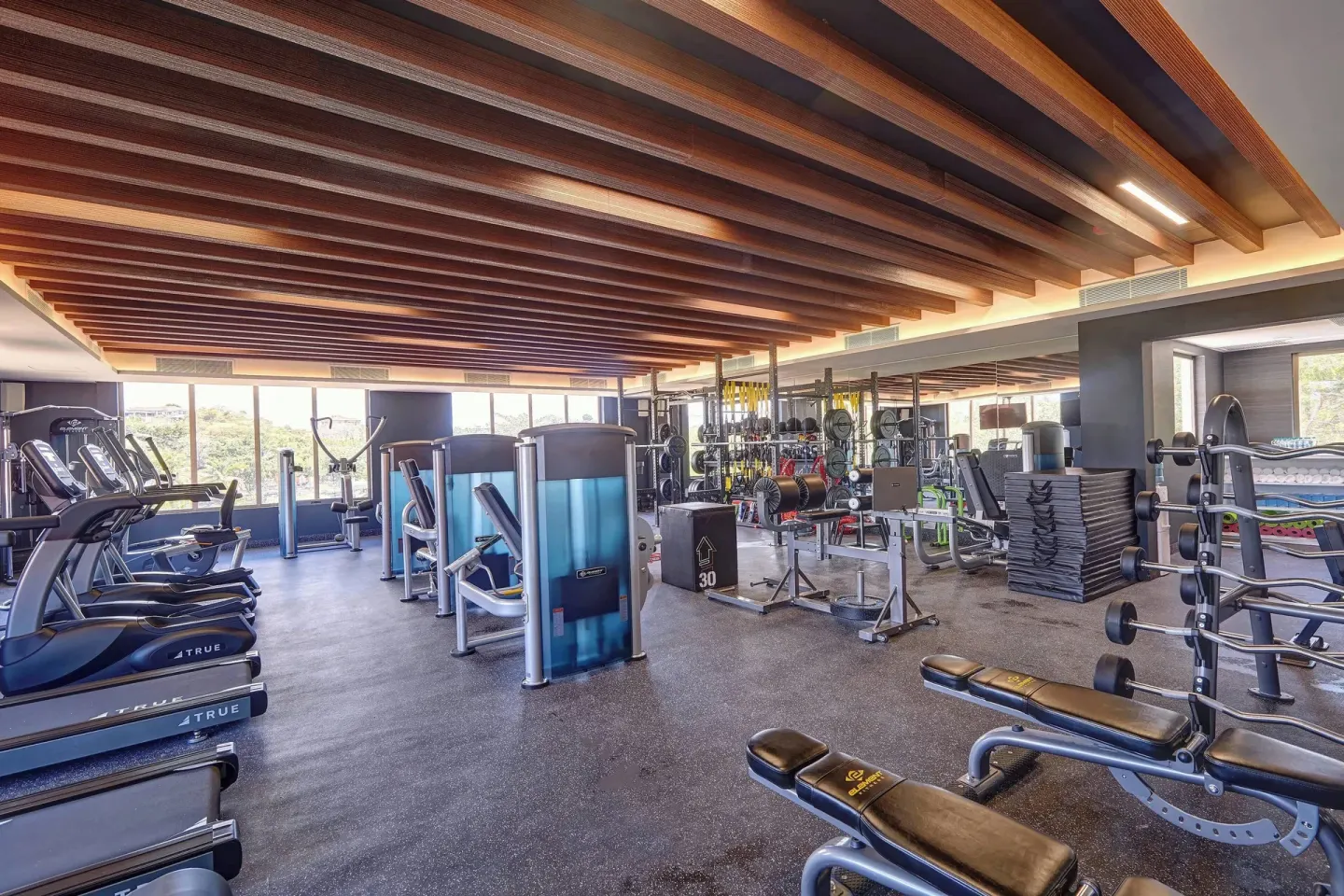 Wide view of cardio machines, benches, and weight equipment at Royalton Grenada.