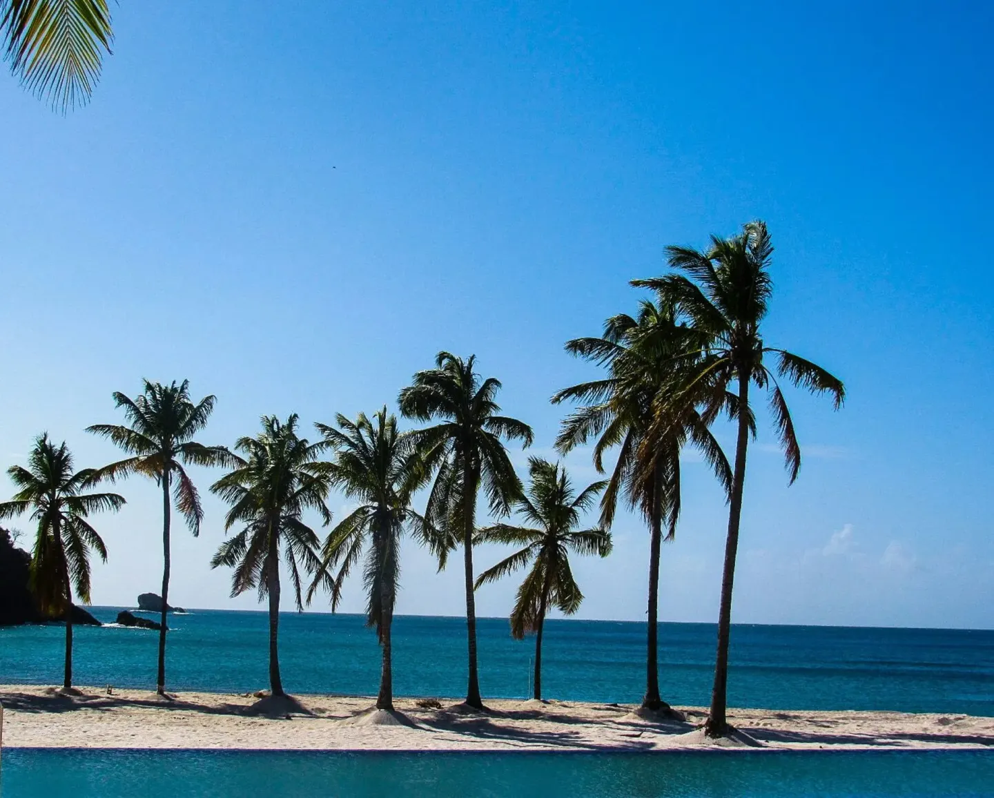 Palm trees line the beach and turquoise water at Royalton Hideaway Saint Lucia.