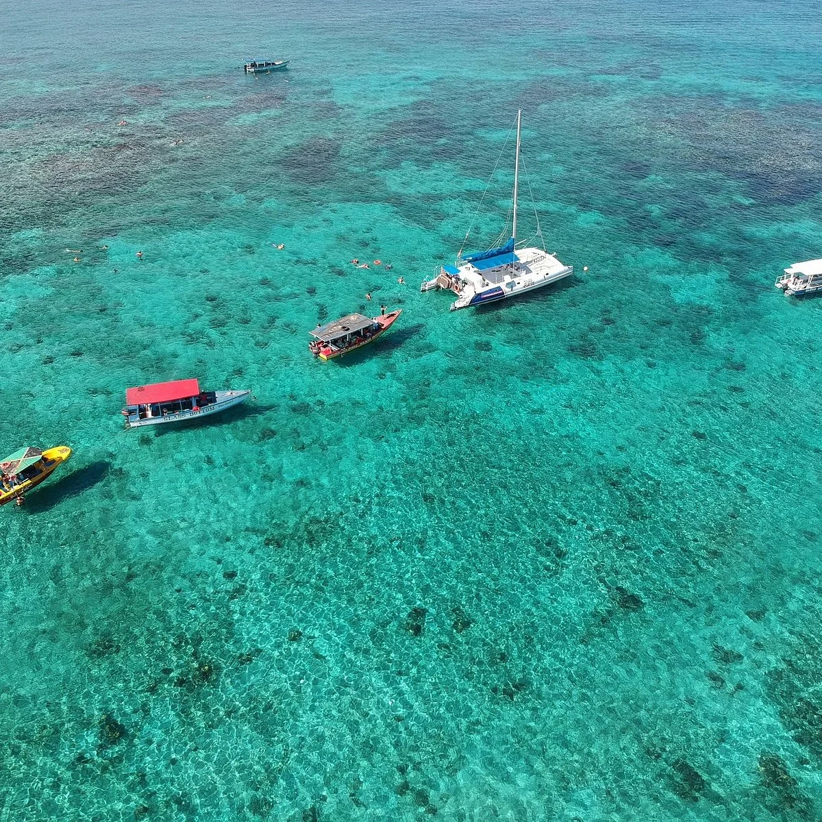 Booby Cay 5 Min Walk