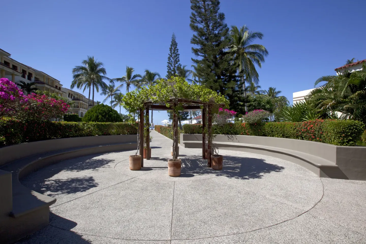 Garden walkway with a vine-covered pergola and palms at Samba Vallarta.