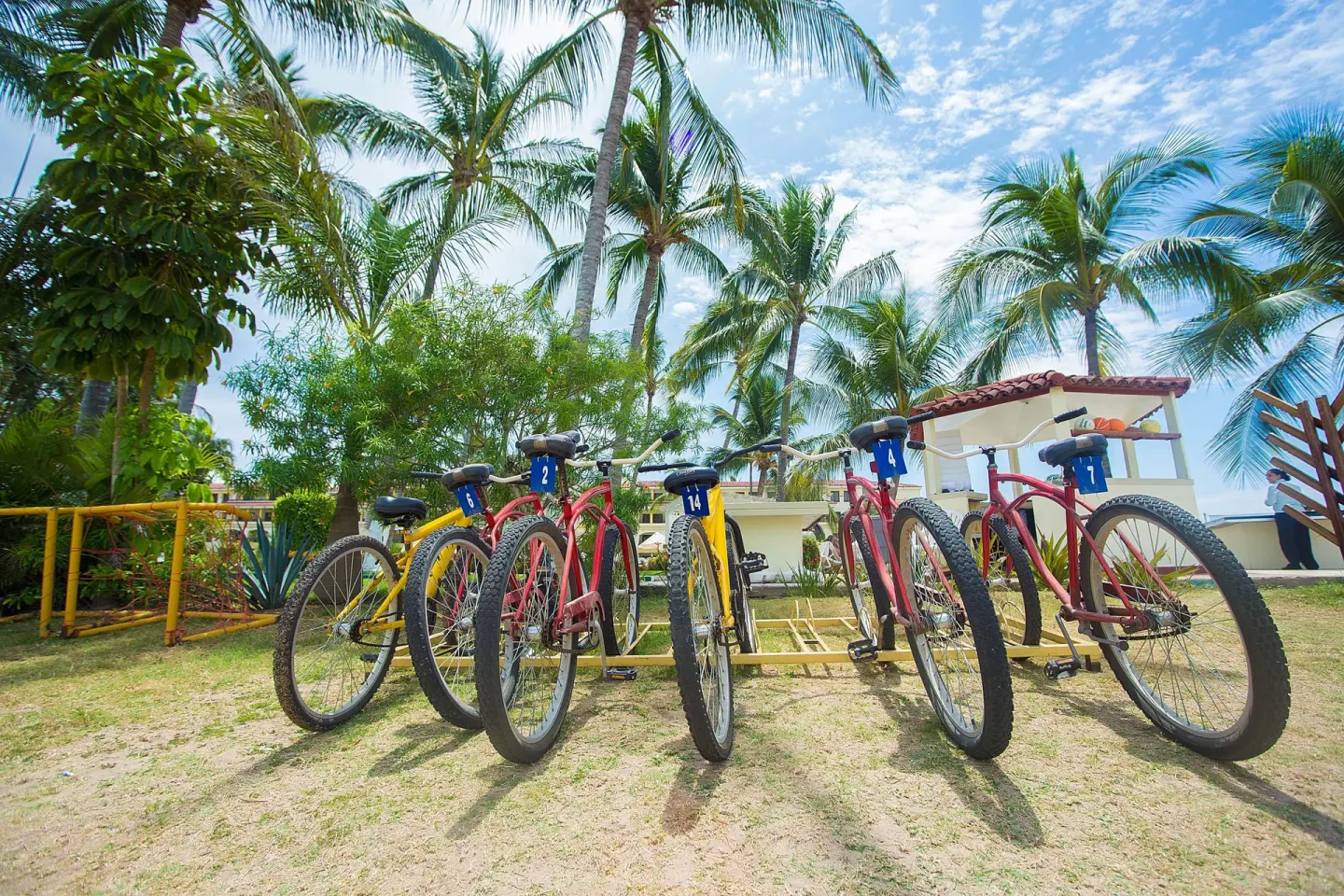 Bicycles parked on the lawn beneath palm trees at Samba Vallarta.
