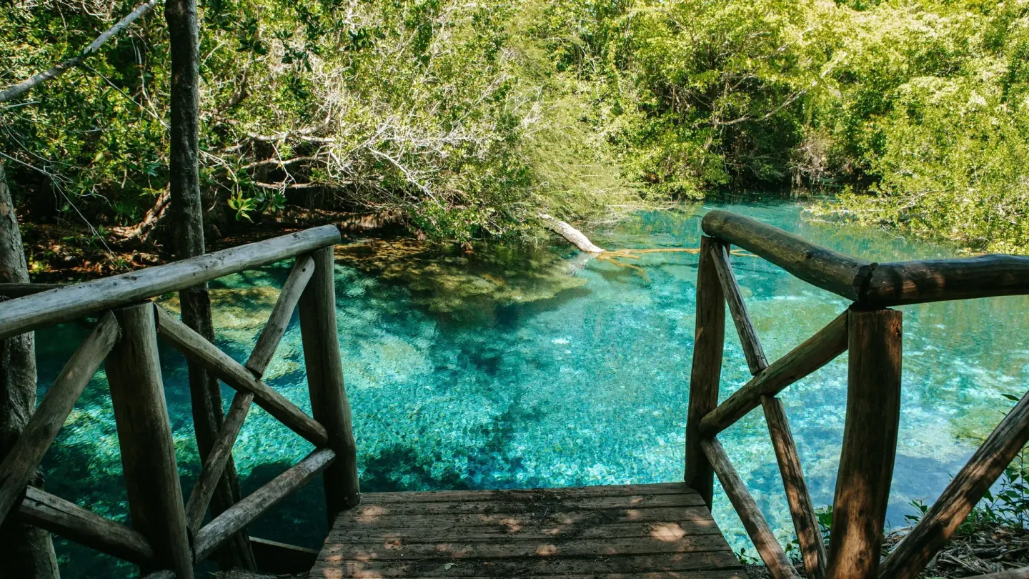 Indigenous Eyes Ecological Park 10 Min Drive