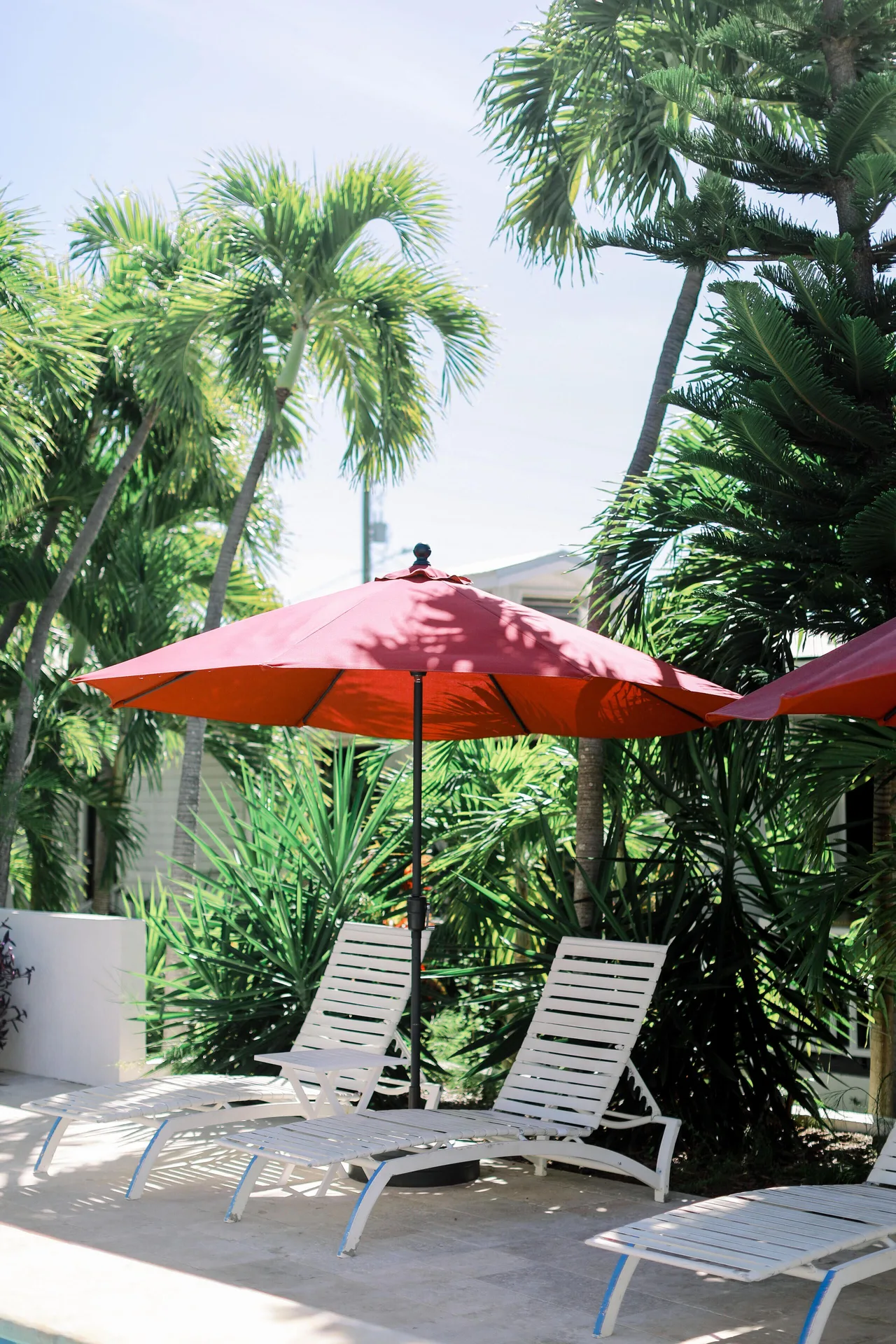 White lounge chairs under red umbrellas beside tropical palms at Sand Castle on the Beach.