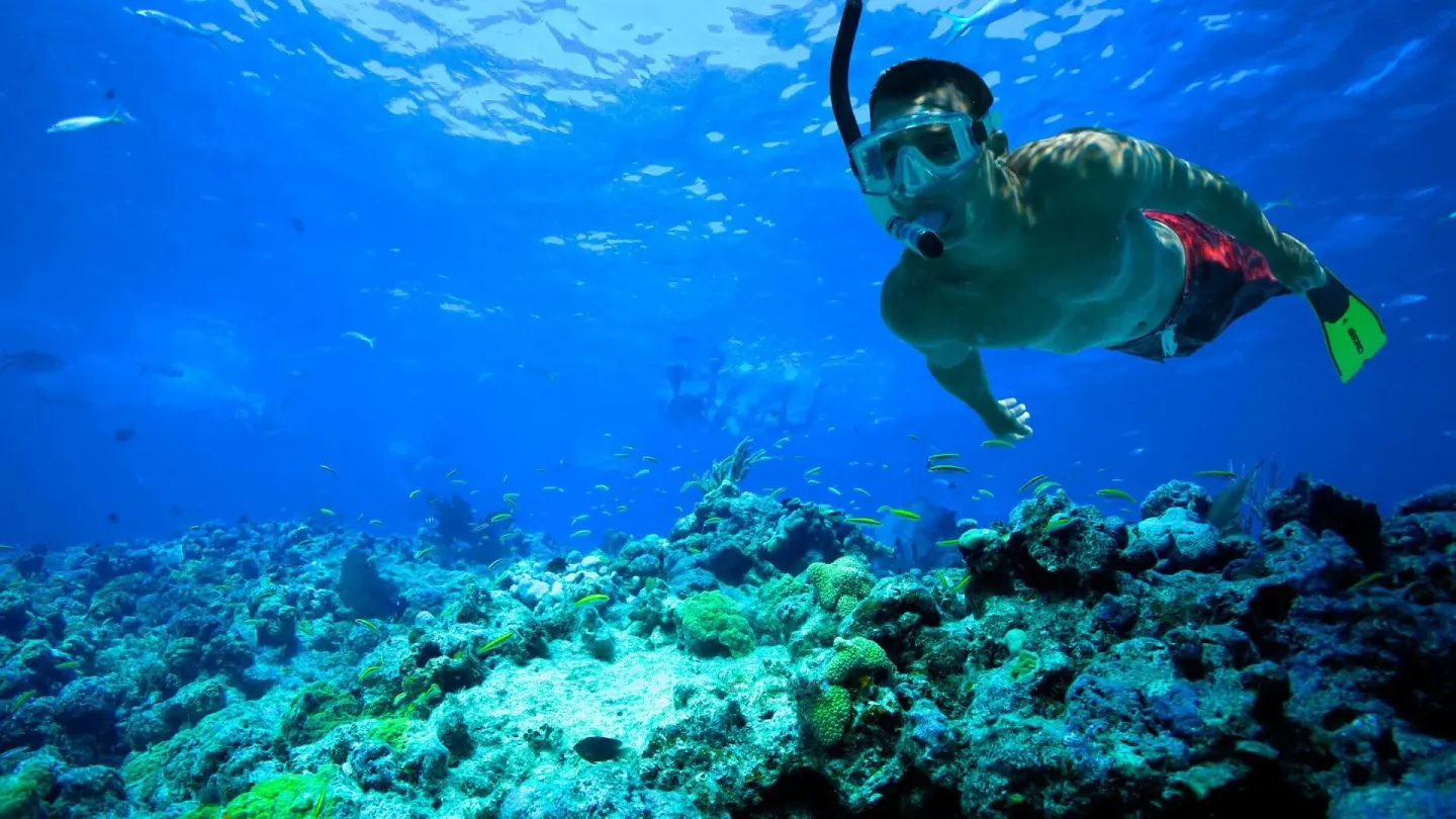 A snorkeler swims over a coral reef near Sand Castle on the Beach.