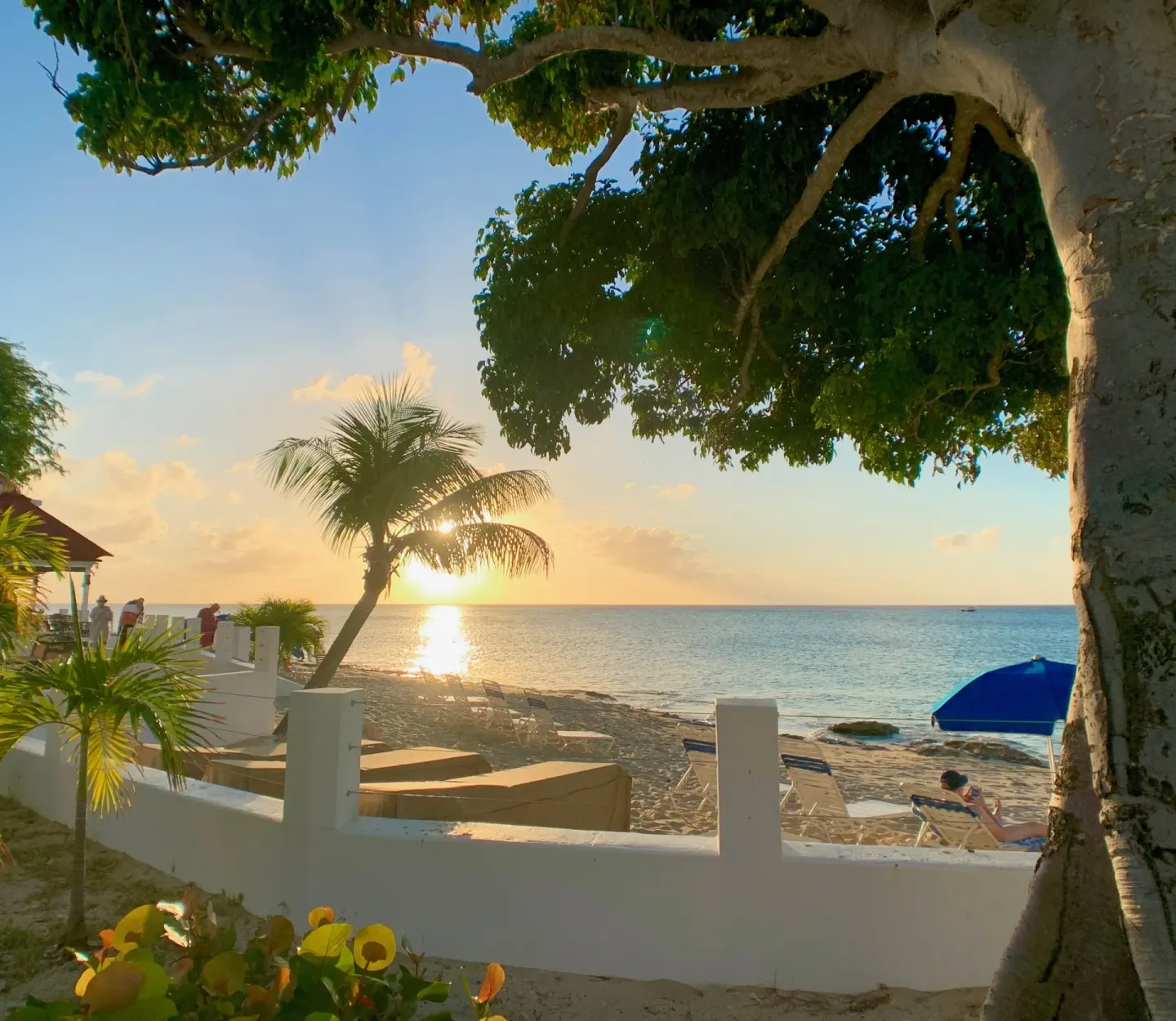 Sunset beach view framed by trees at Sand Castle on the Beach.