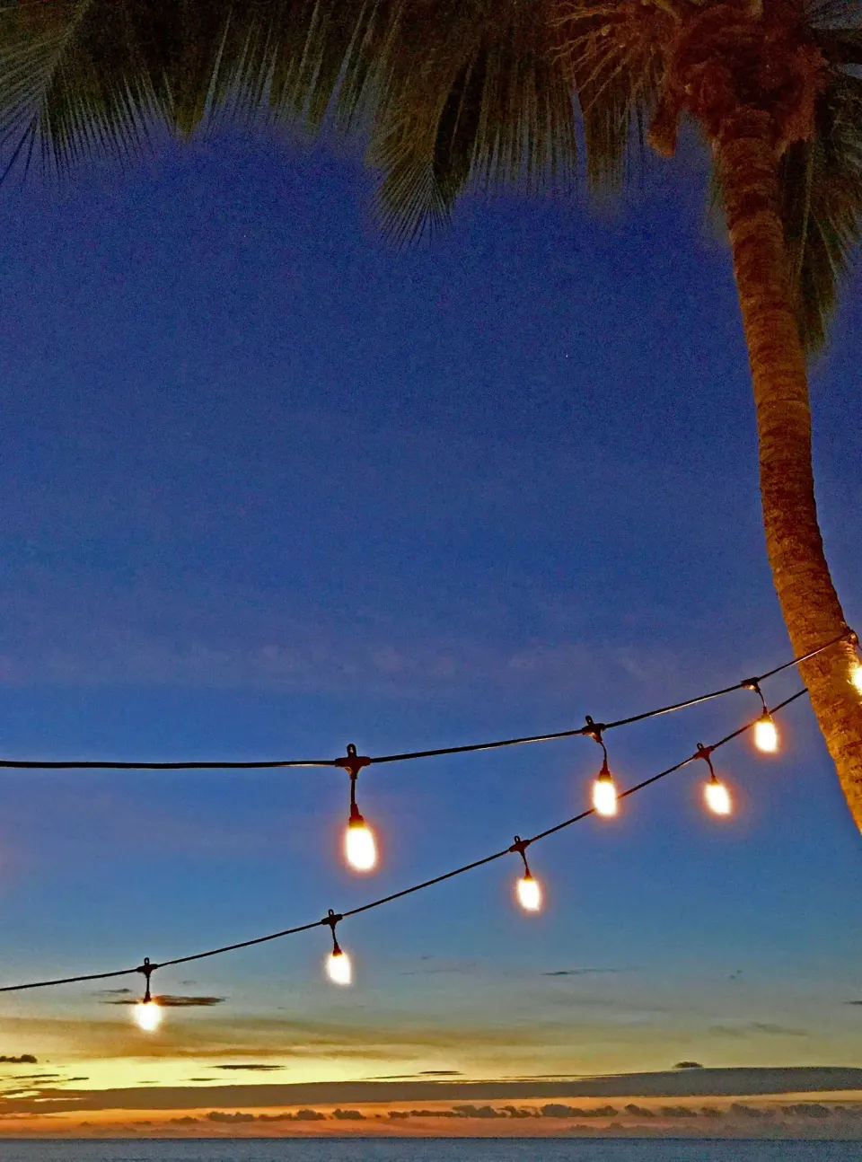 String lights and a palm tree silhouetted at sunset at Sand Castle on the Beach.