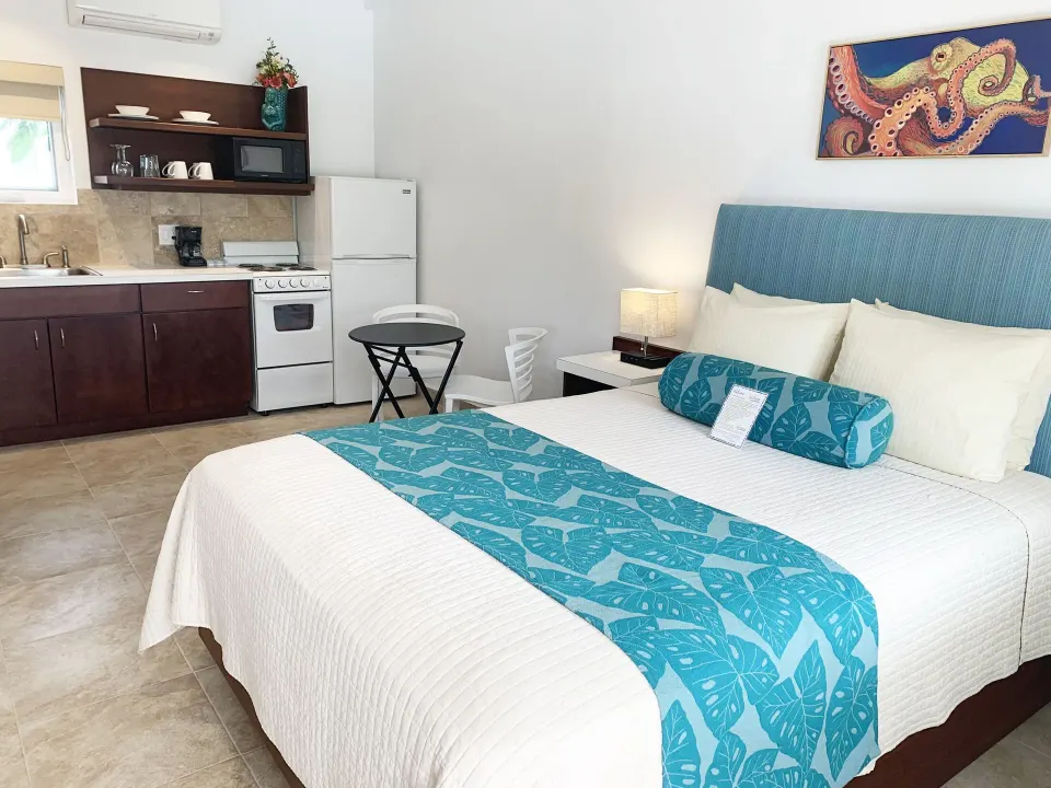 Studio with queen bed and compact kitchen area at Sand Castle on the Beach.