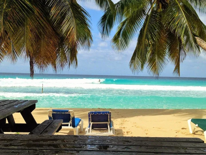 Barry S Surf Barbados Surf School 5 Min Walk