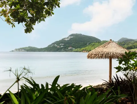 Calm bay, thatched beach umbrella, and green hillside at Sandals Halcyon.