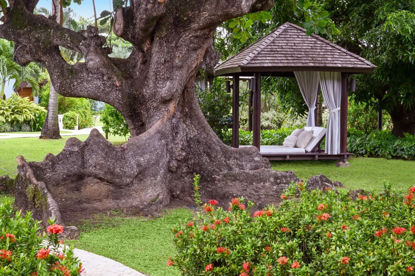 Garden daybed pavilion beside a large tree at Sandals Halcyon.