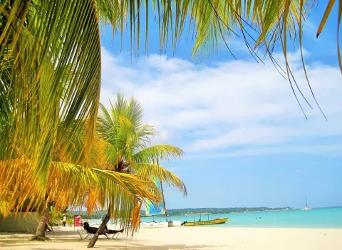 Tropical Bliss 15 Min Walk