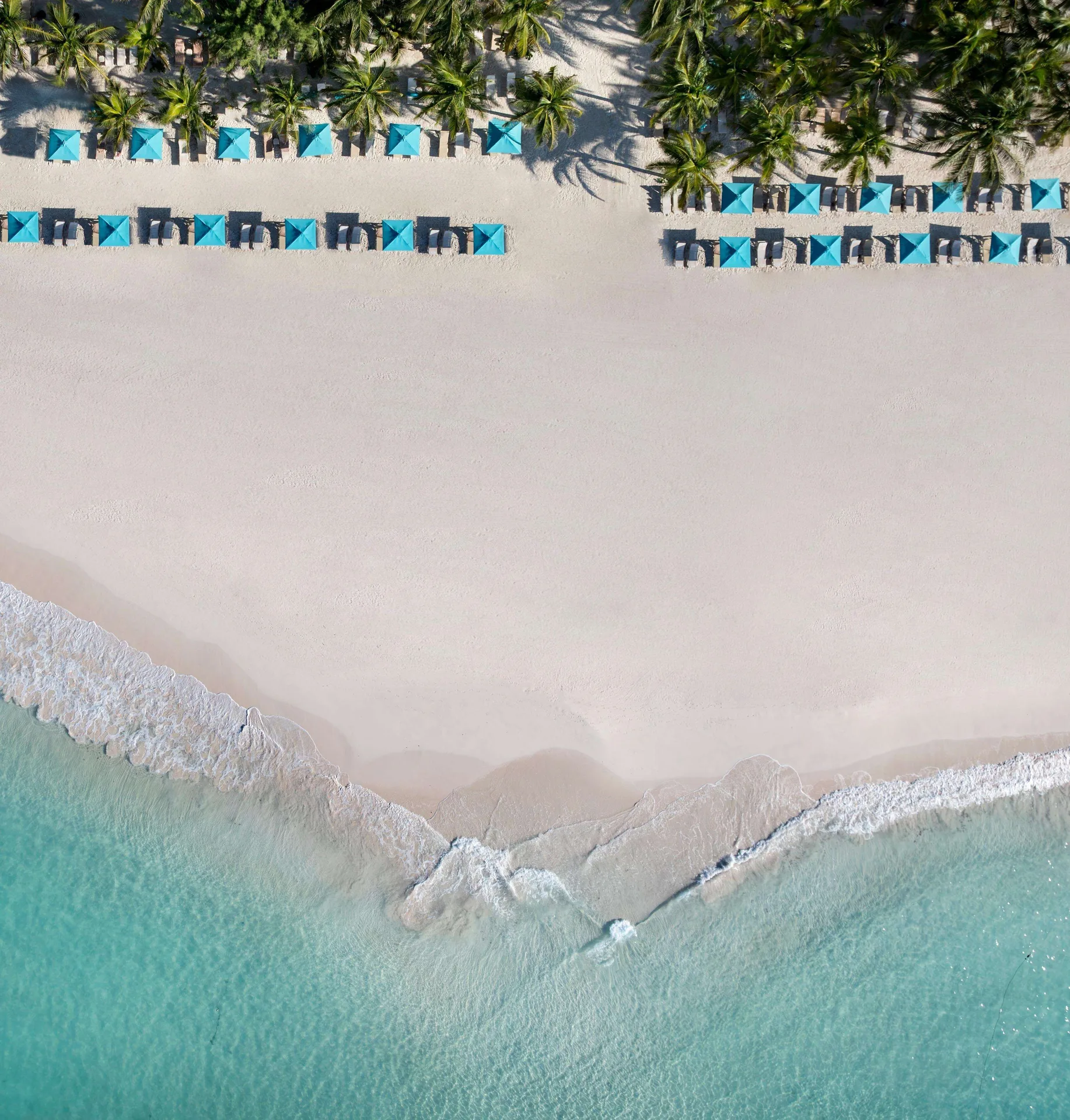 Aerial view of beach loungers, palms, white sand, and surf at Sandals Royal Barbados.