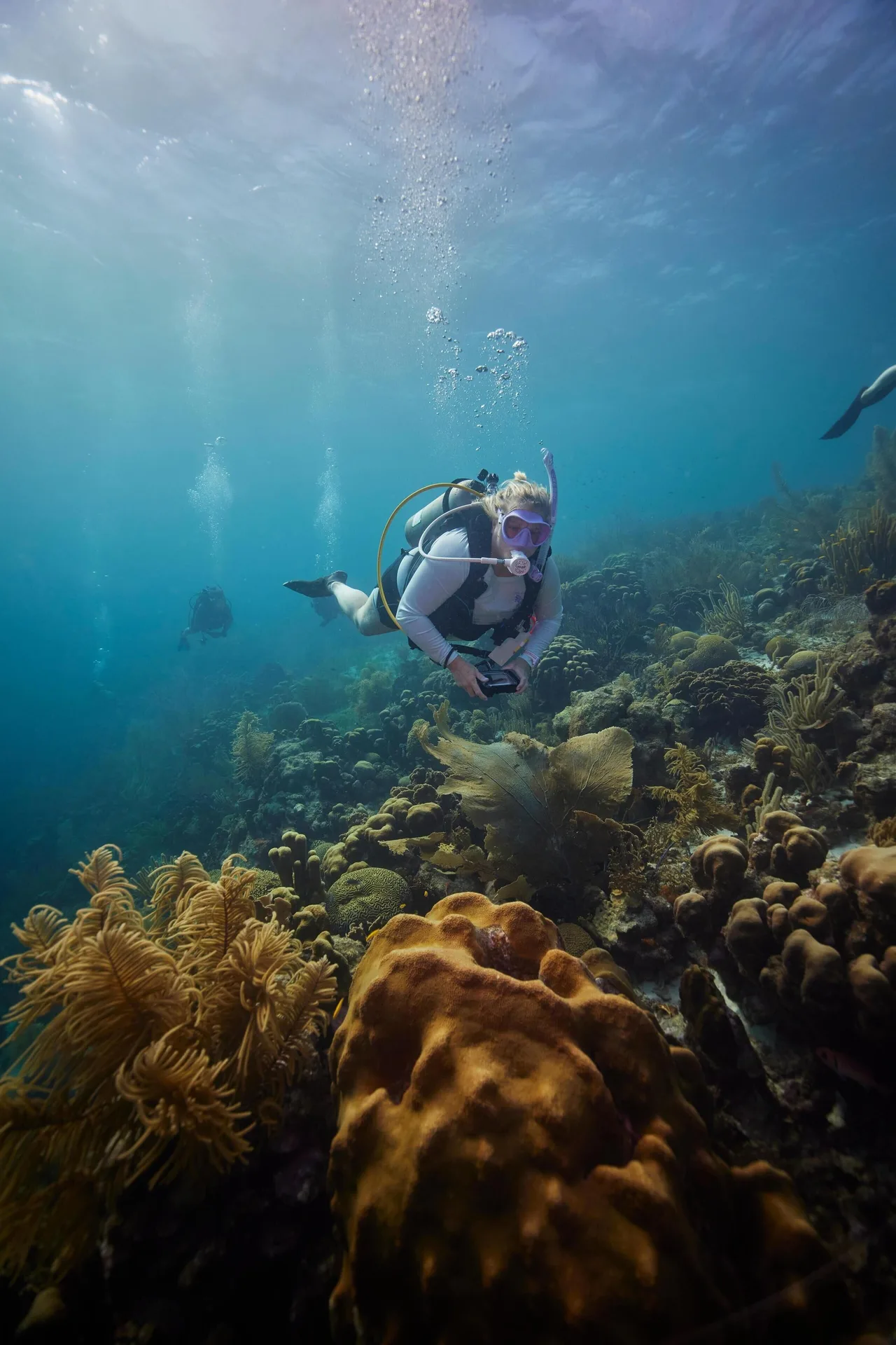 A scuba diver swims over a coral reef near Sandals Royal Curacao.