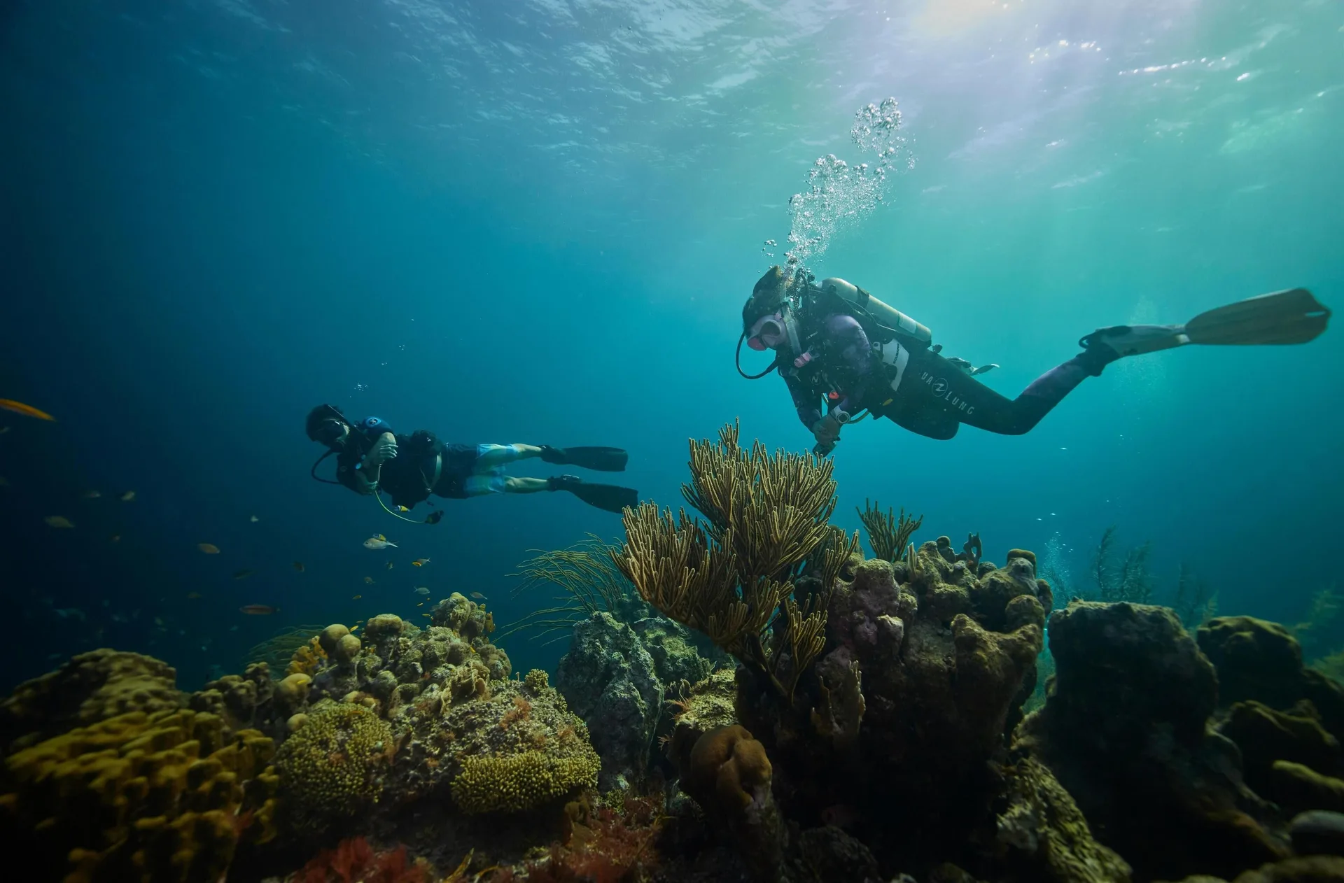 Scuba divers swim over a coral reef near Sandals Royal Curacao.