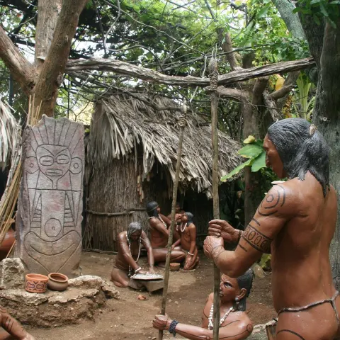 L Aldea Rainforest Mystery 20 Min Drive