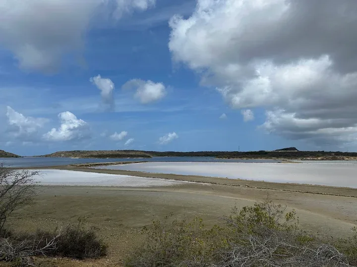 Salt Pans 15 Min Drive