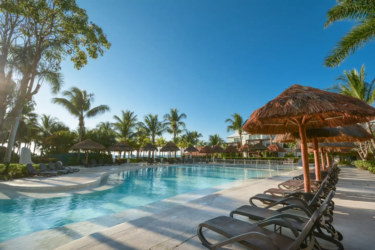 Outdoor pool with palm trees and loungers at Sandos Caracol Nature Resort & Water Park.
