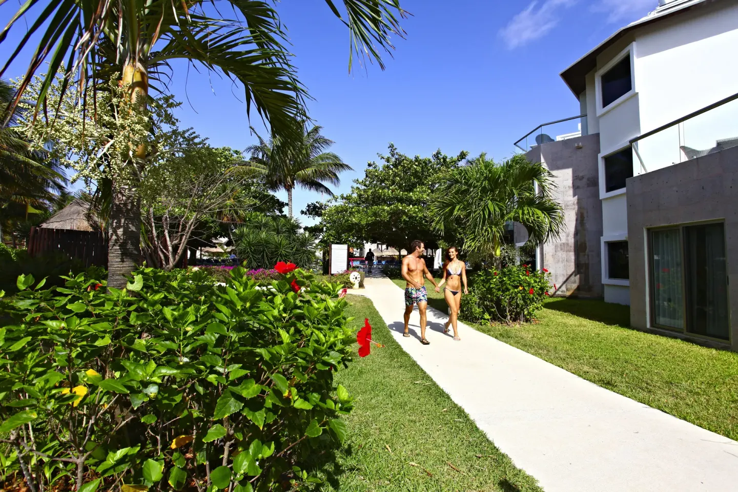 Pool View Superior garden walkway outside rooms at Sandos Caracol Nature Resort & Water Park.