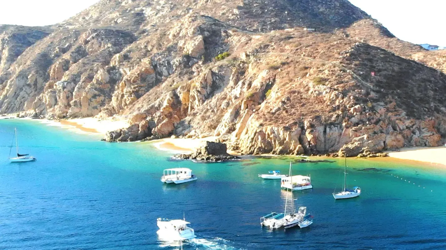 Black Coral Beach 10 Min Walk