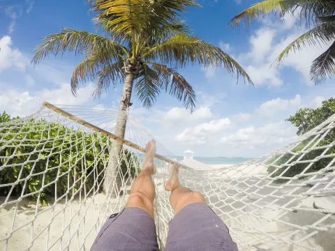 A beach hammock beneath palm trees at Sandyport Beach Resort.