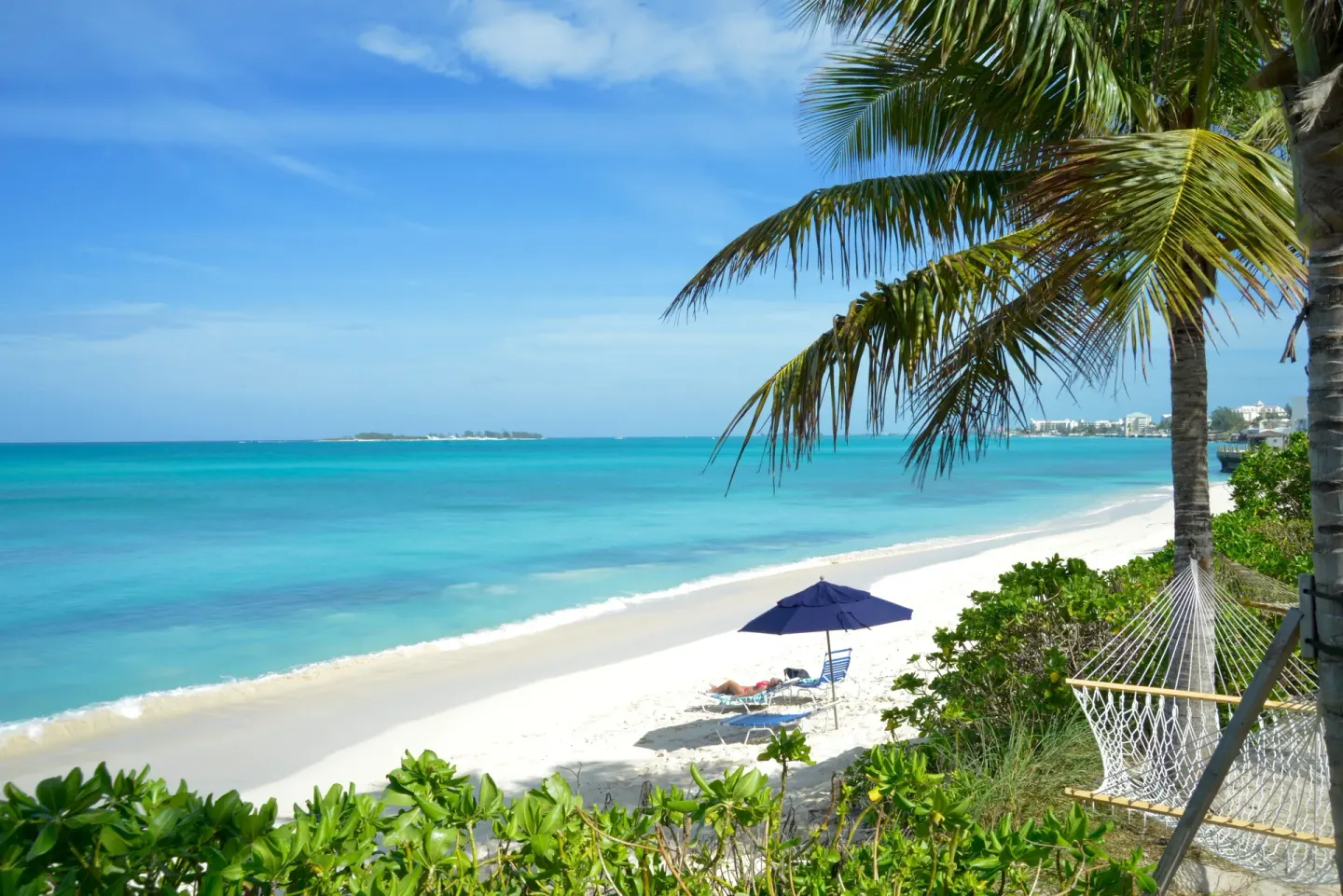 Oceanfront beach with hammock, palms and blue water at Sandyport Beach Resort.