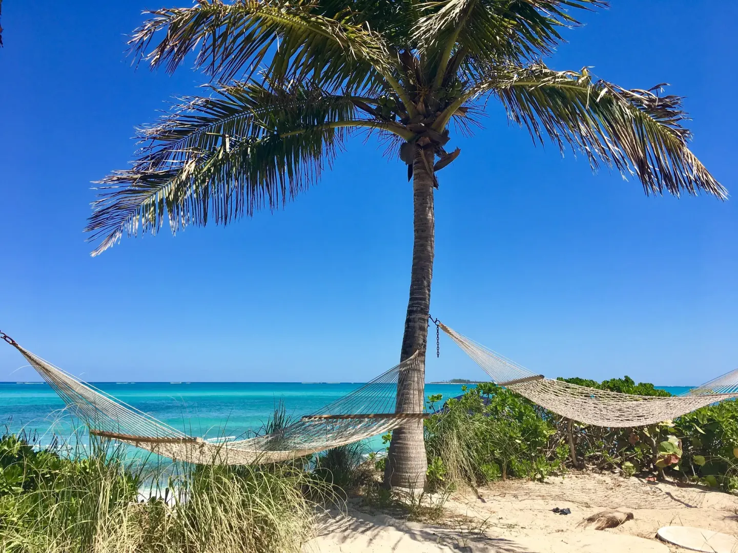 Two hammocks tied to a palm tree overlooking the ocean at Sandyport Beach Resort.