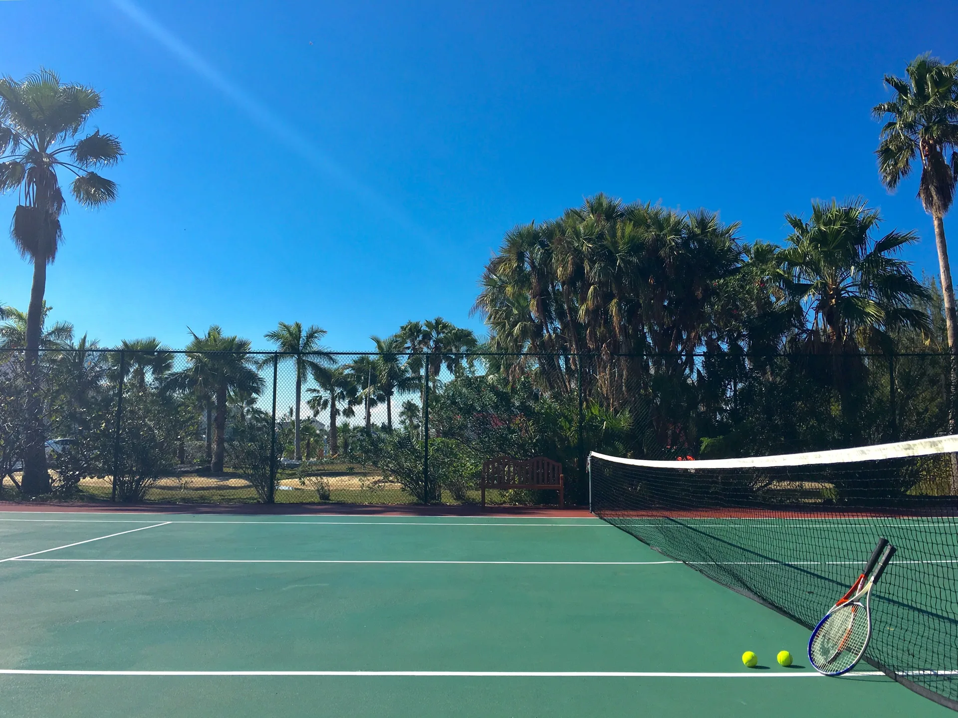 Tennis court with rackets and balls among palms at Sandyport Beach Resort.