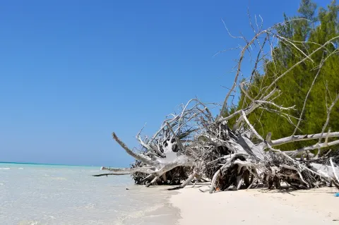 Lucayan Archipelago 1 Min Walk