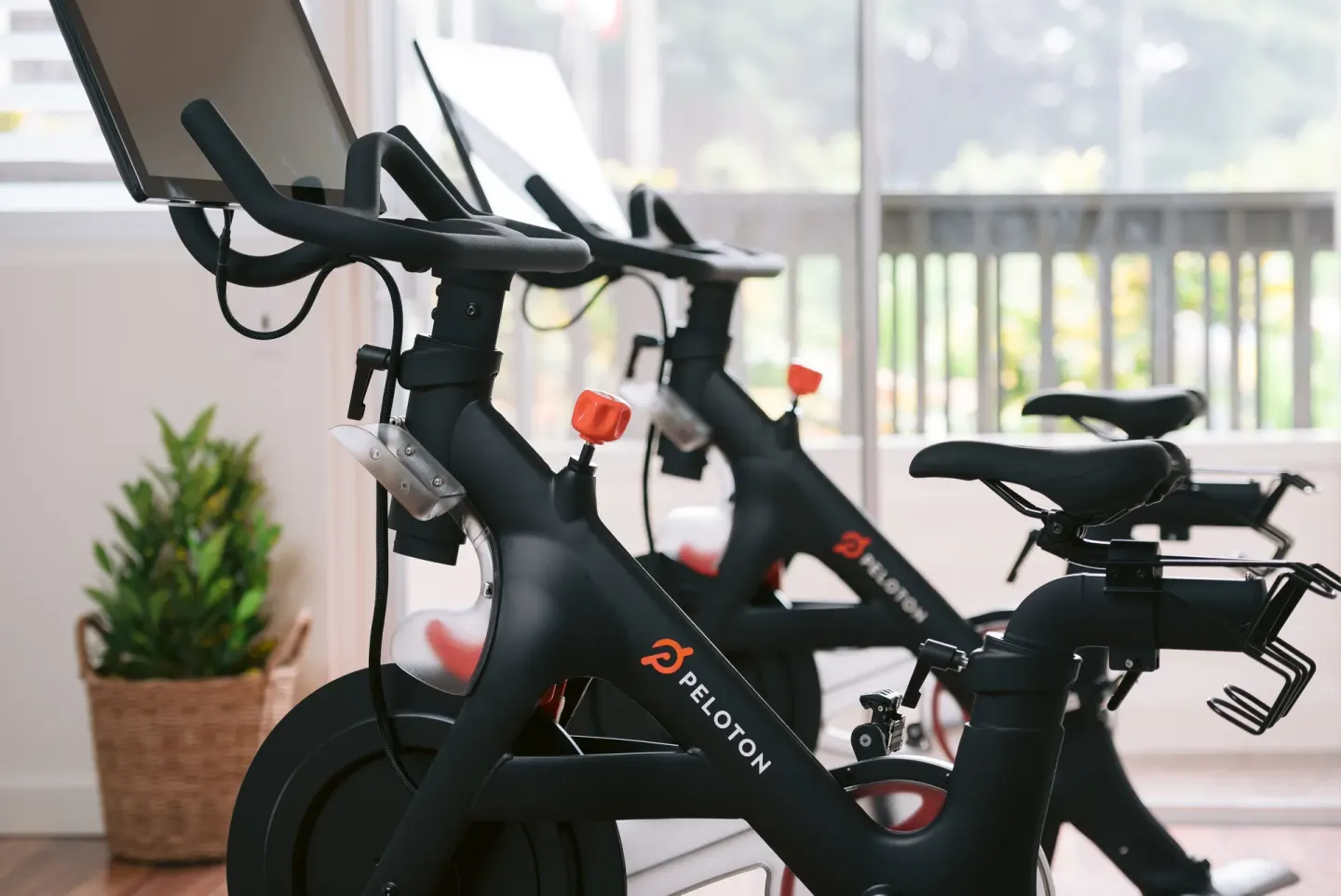 Stationary bikes sit beside bright windows in the fitness room at SCP Hilo Hotel.