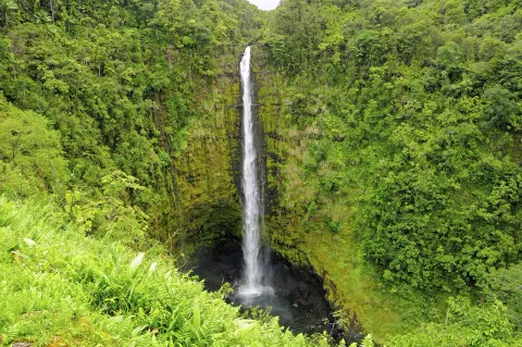 A tall waterfall drops into a green forested gorge near SCP Hilo Hotel.