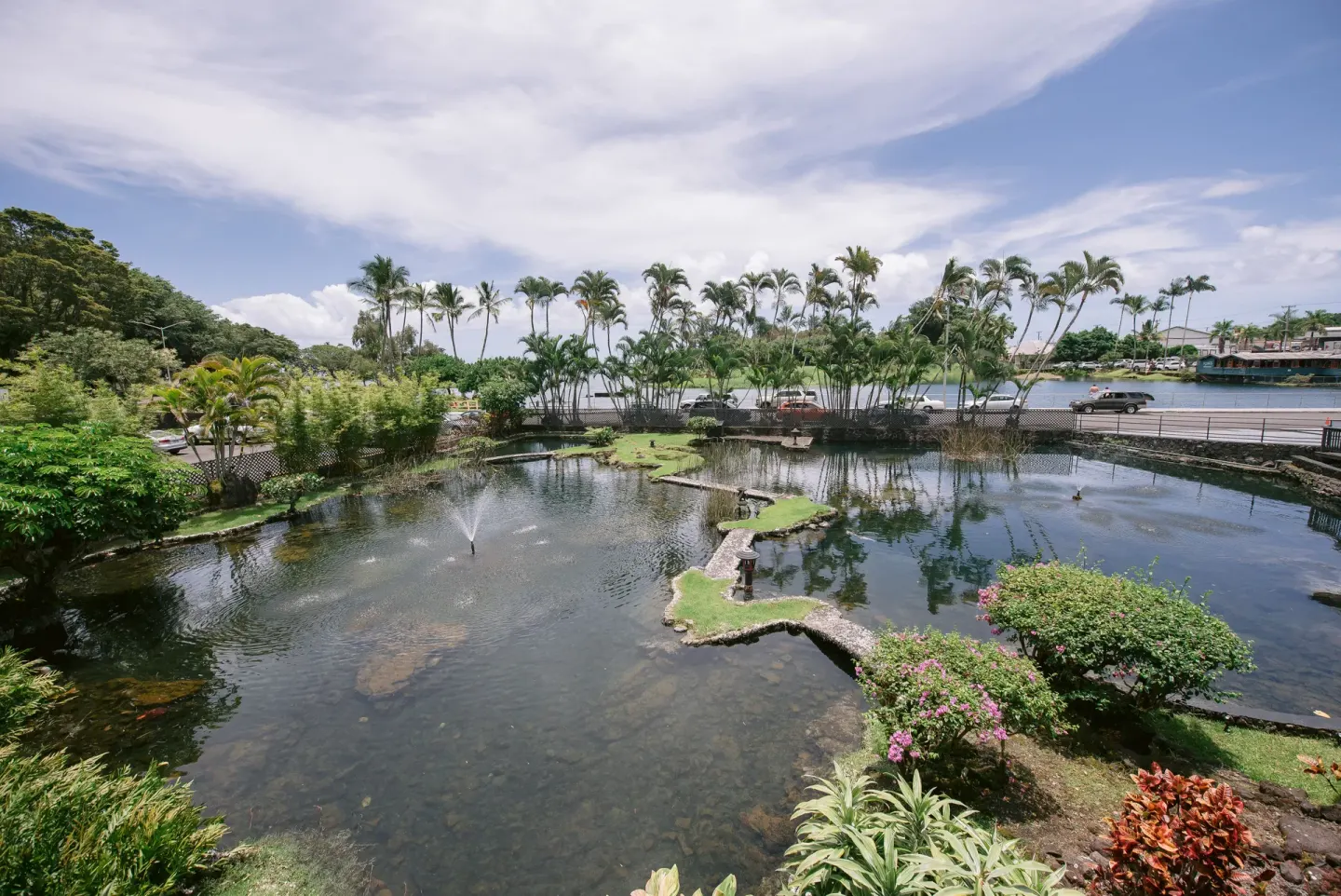 Bay view from room with ponds, palms, roadway, and blue water at SCP Hilo Hotel.