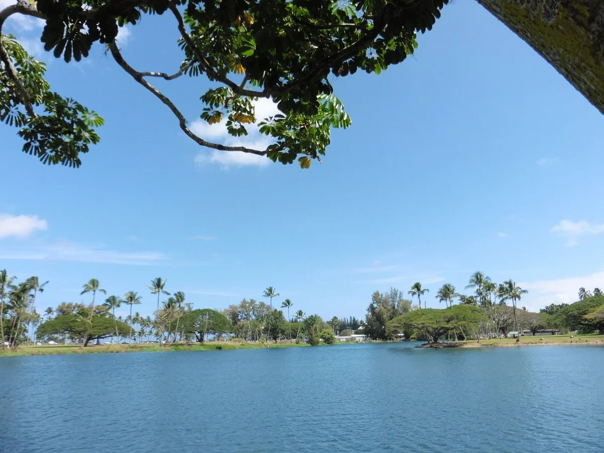 Wailoa River State Park Hawaii 15 Min Walk