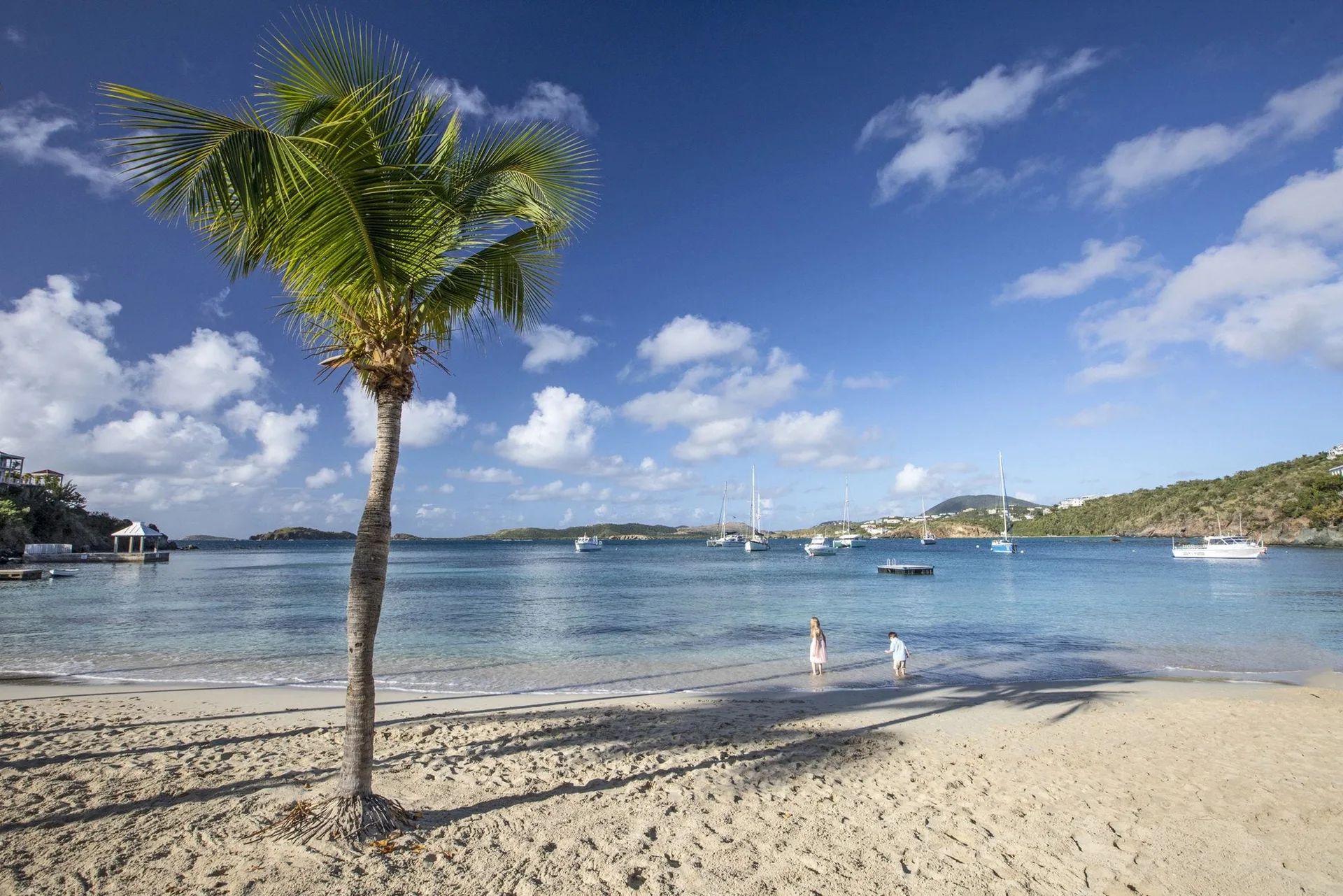 Palm tree on the sandy beach and calm bay at Secret Harbour Beach Resort.