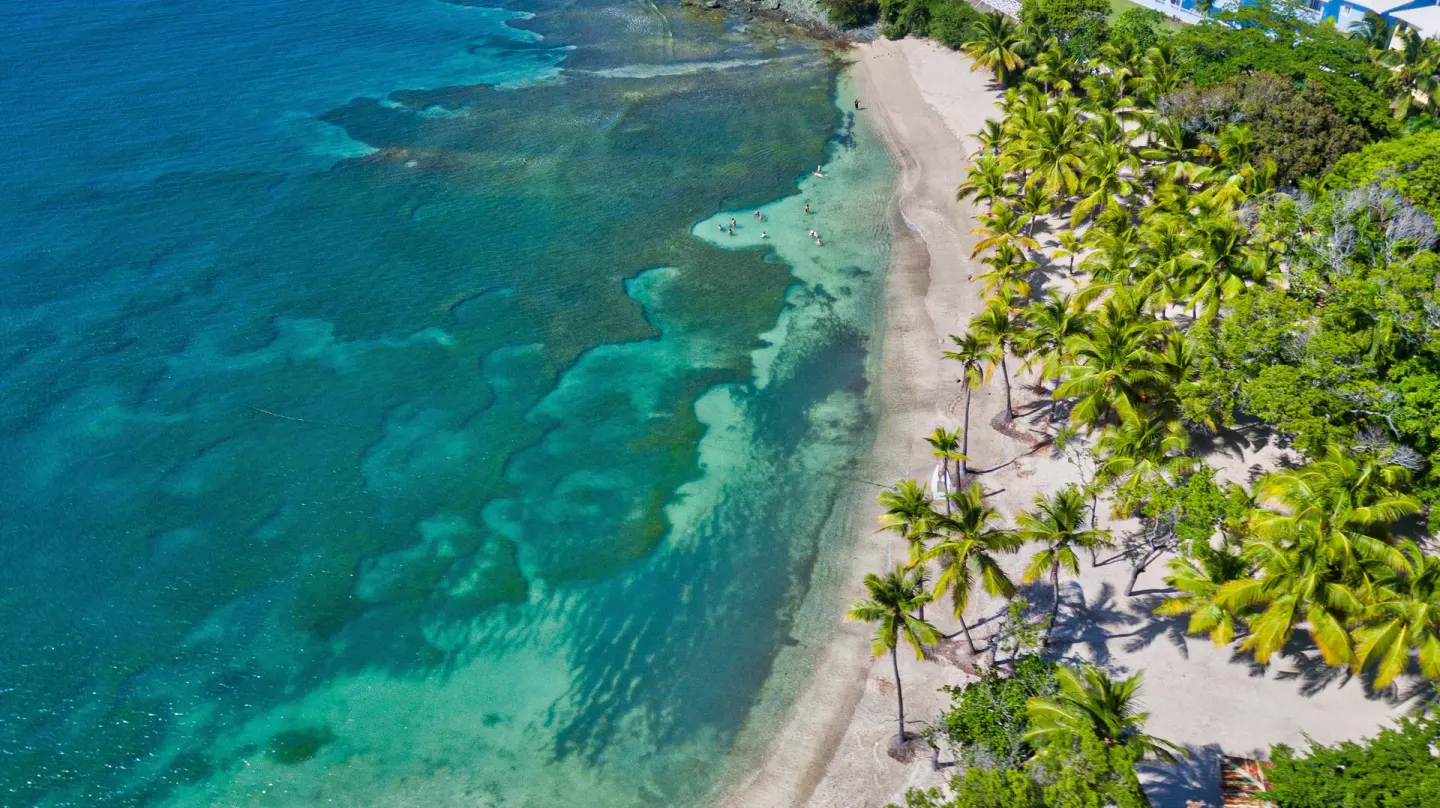 Aerial beach view at Senator Puerto Plata with turquoise water, sand, and palm trees.