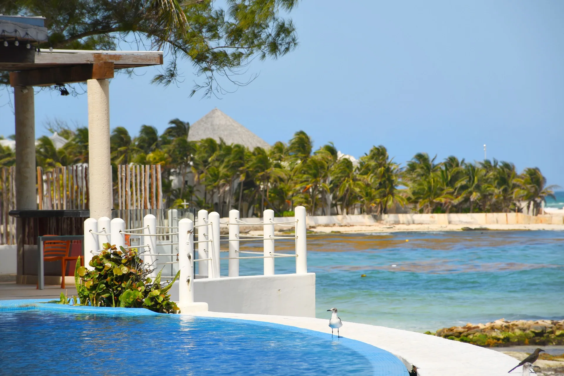 Pool edge overlooking turquoise water and shoreline at Senses Riviera Maya Oceanfront.