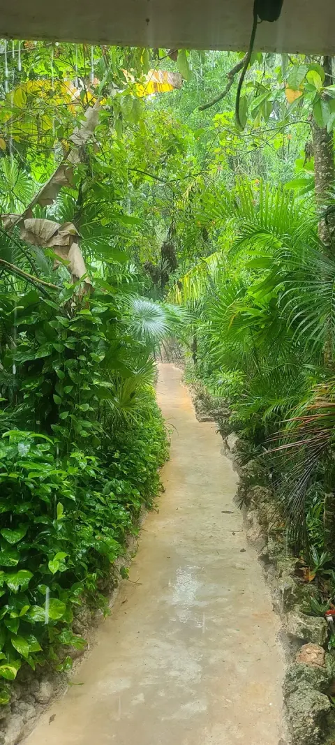 Jungle Spa 15 Min Drive