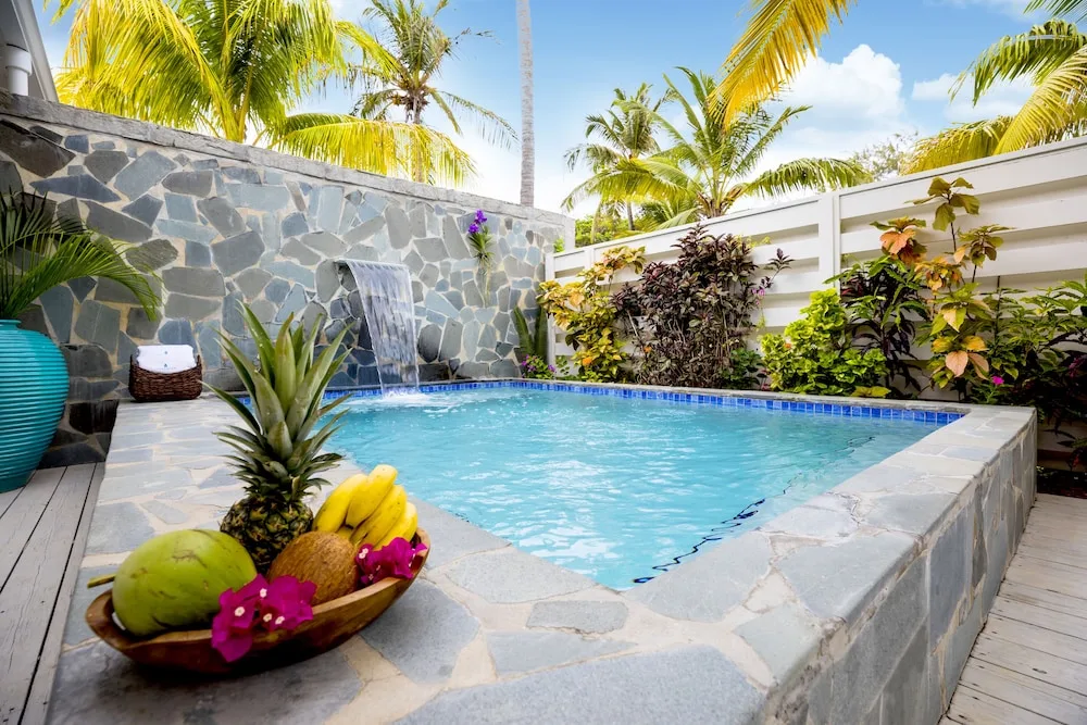Private plunge pool patio framed by tropical palms at Serenity At Coconut Bay