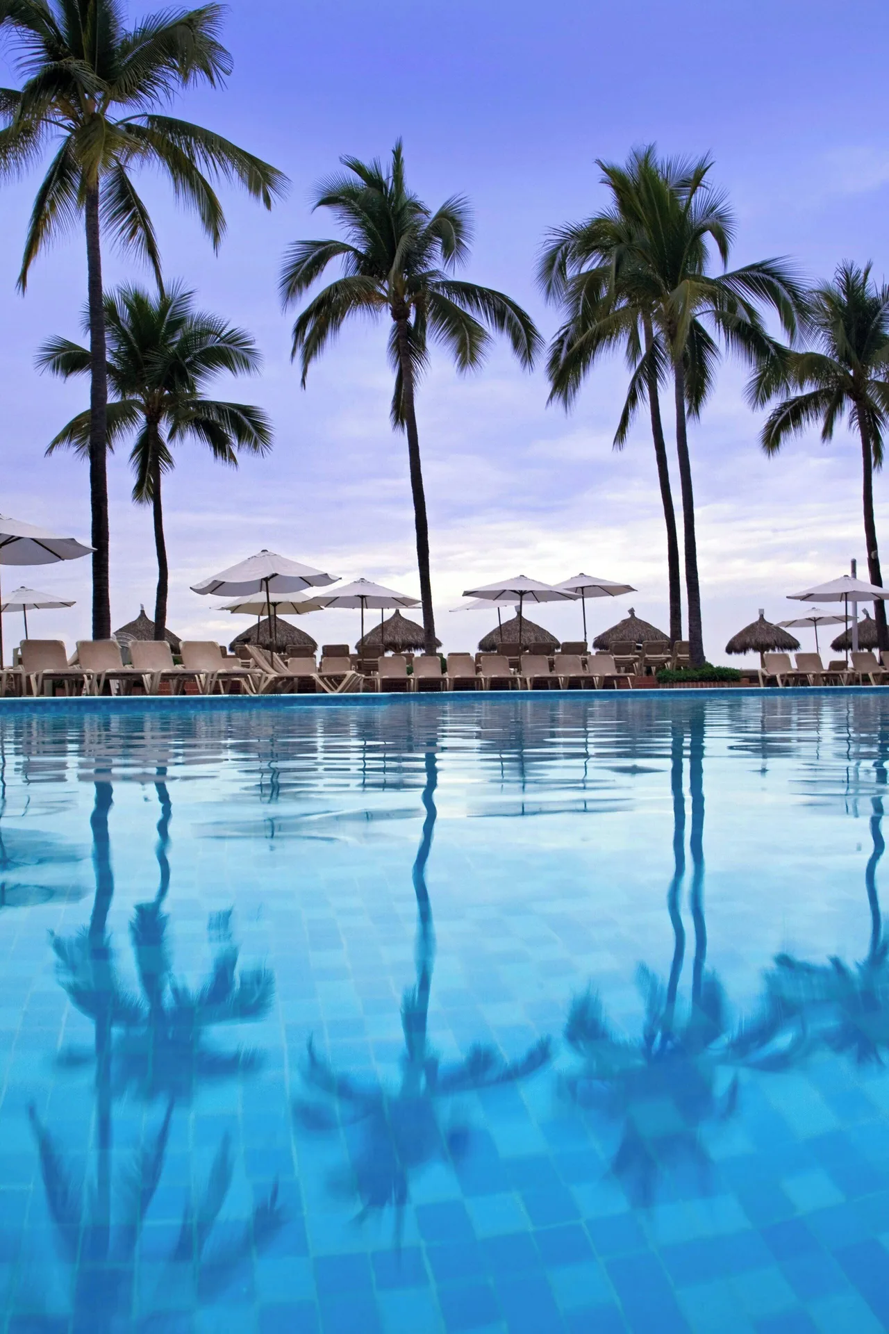 Palm trees reflected in the resort pool at Sheraton Buganvilias Puerto Vallarta.