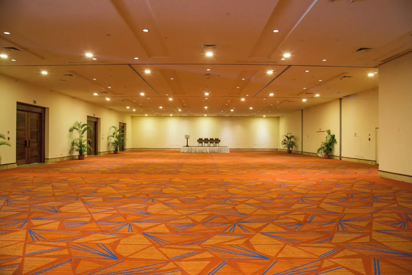 Large ballroom with patterned carpet at Sheraton Buganvilias Puerto Vallarta.