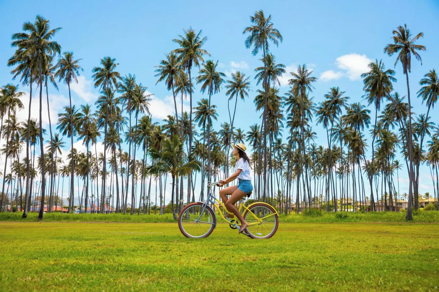 A cyclist rides across a palm-lined lawn at Sheraton Kauai Coconut Beach Resort.