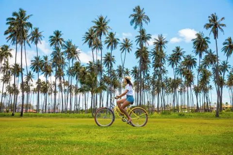 A cyclist rides across a palm-lined lawn at Sheraton Kauai Coconut Beach Resort.