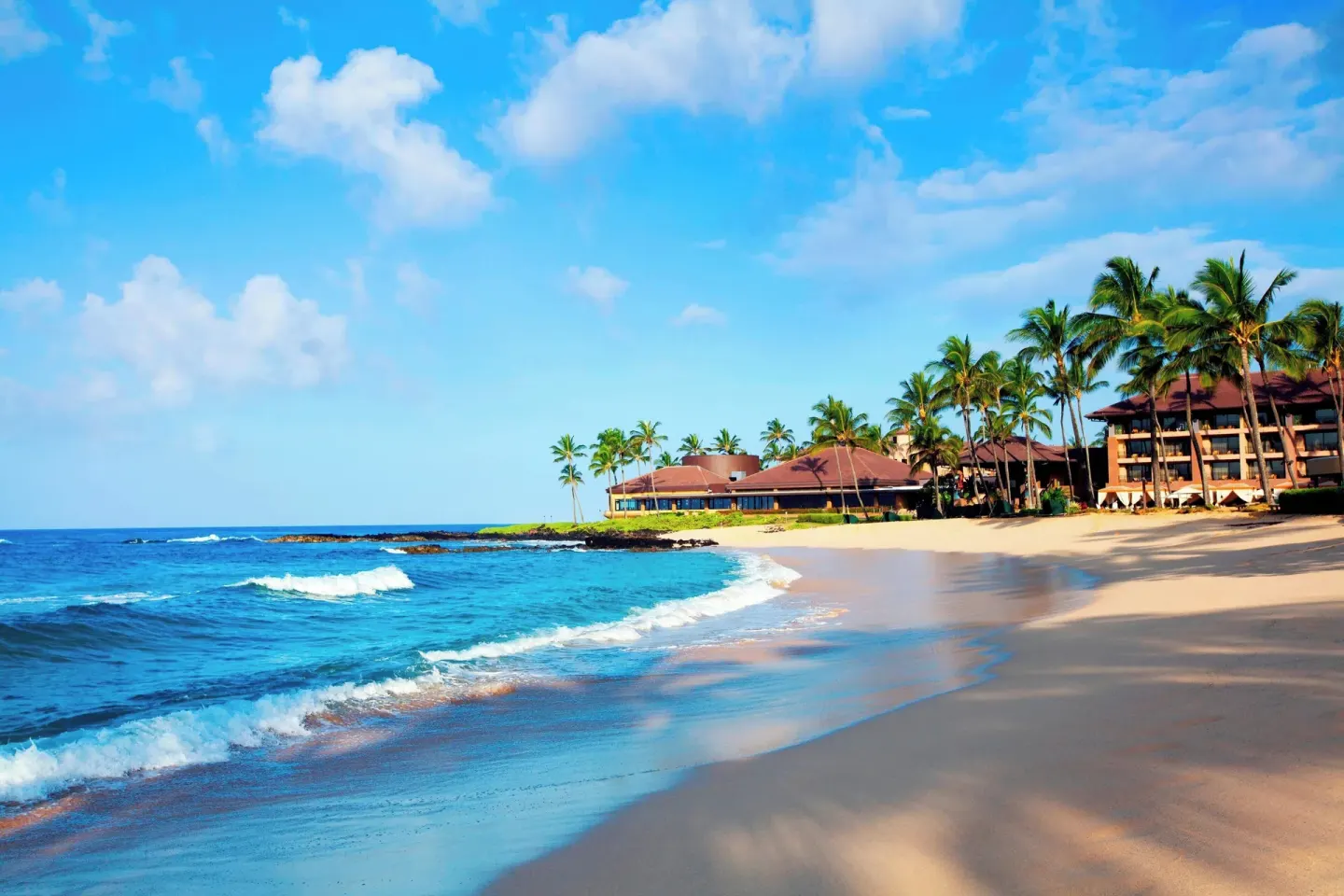 Beachfront resort buildings and palm trees at Sheraton Kauai Resort.