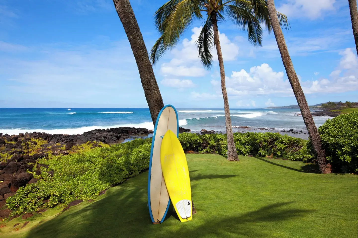Surfboards on an oceanfront lawn beside palms at Sheraton Kauai Resort.
