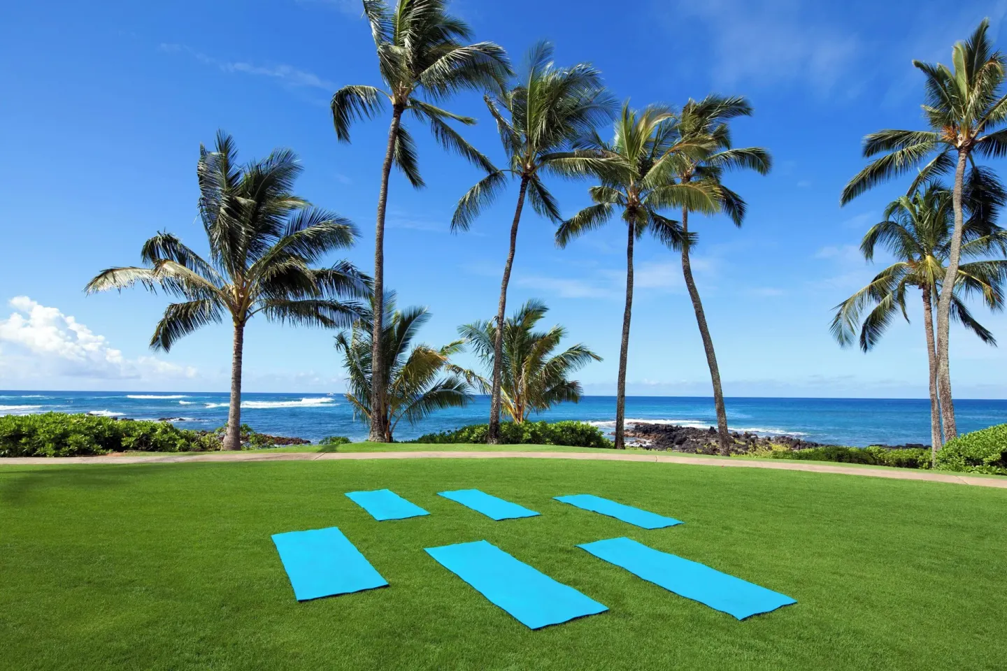 Yoga mats on an oceanfront lawn beneath palm trees at Sheraton Kauai Resort.
