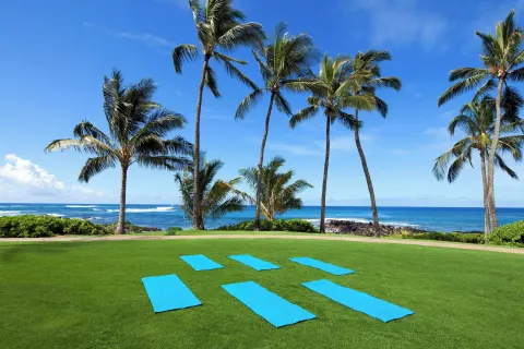 Yoga mats on an oceanfront lawn beneath palm trees at Sheraton Kauai Resort.