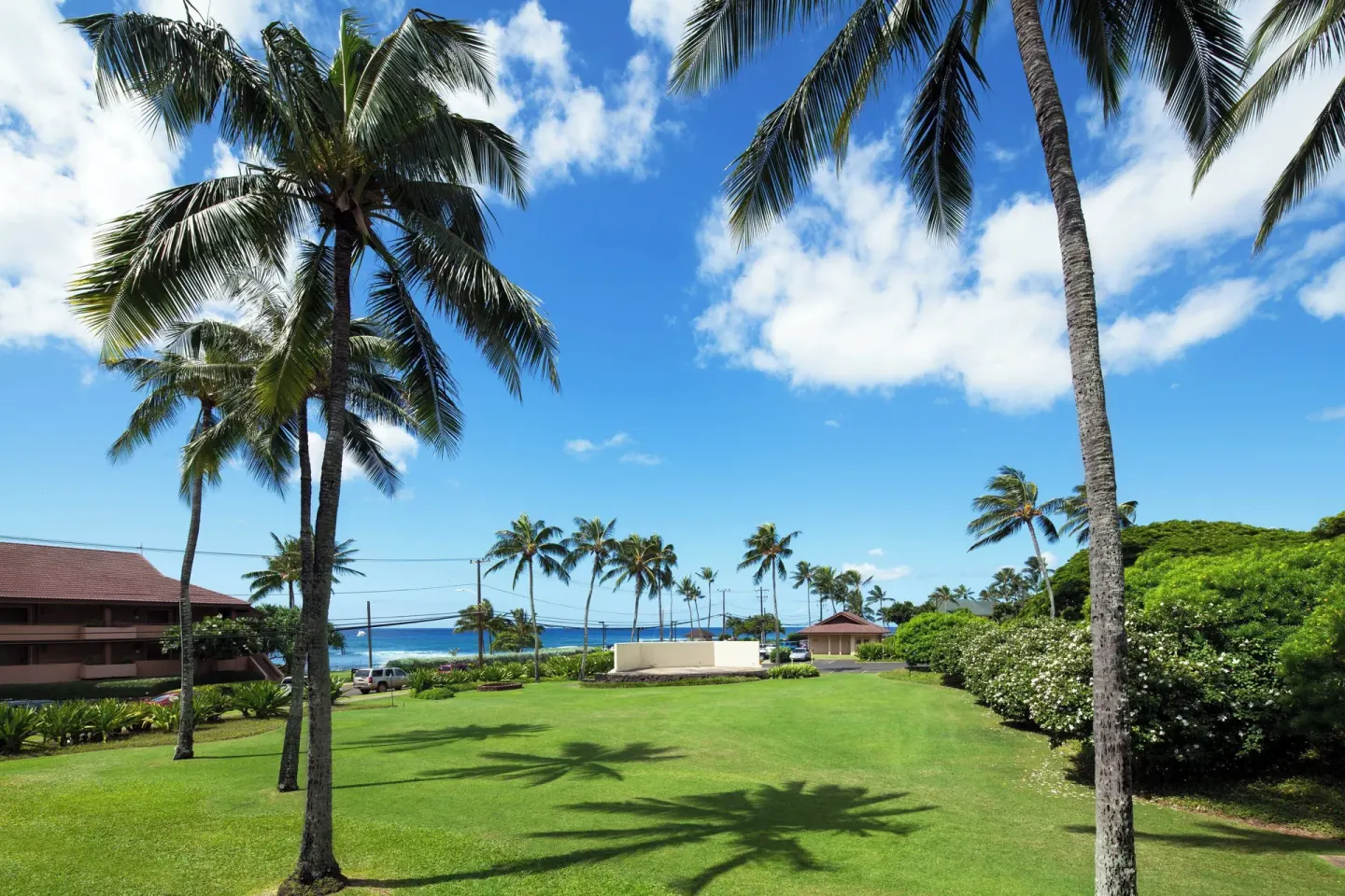 Palm-lined resort lawn with ocean in the distance at Sheraton Kauai Resort.